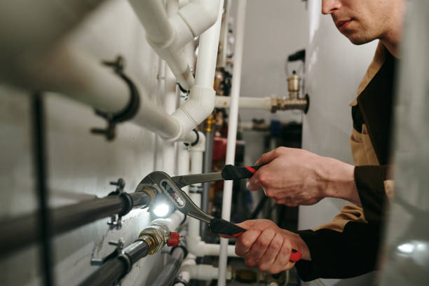 Best Plumbing Inspection Services  in Polo, IL