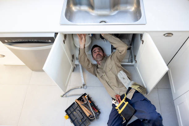Best Affordable Plumbing Services  in Polo, IL